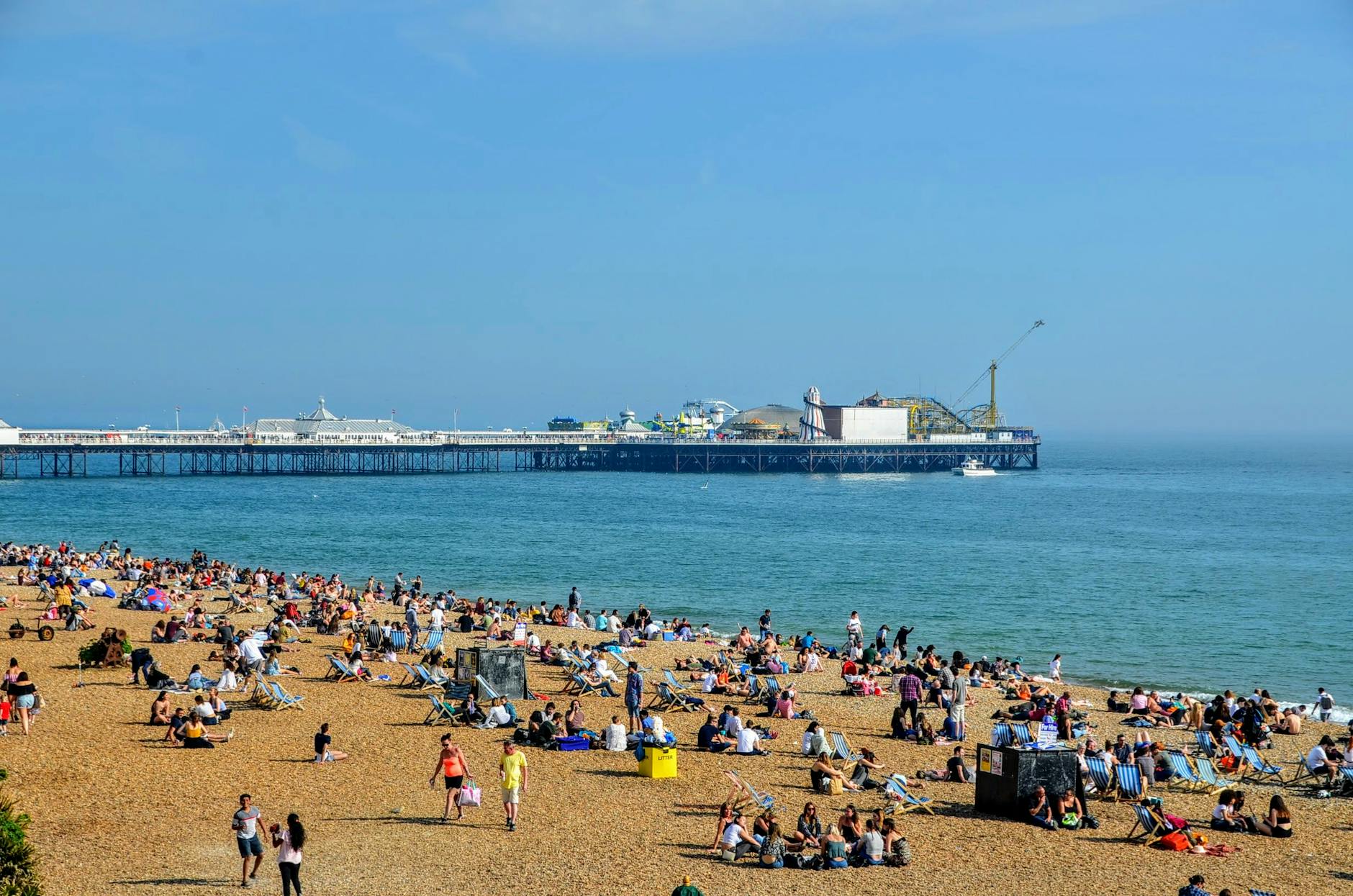 Illustration zu Newcastle – Brighton