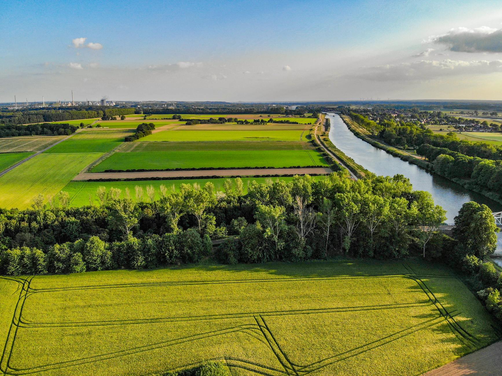 Detailansicht: Pfas Studie Gestoppt