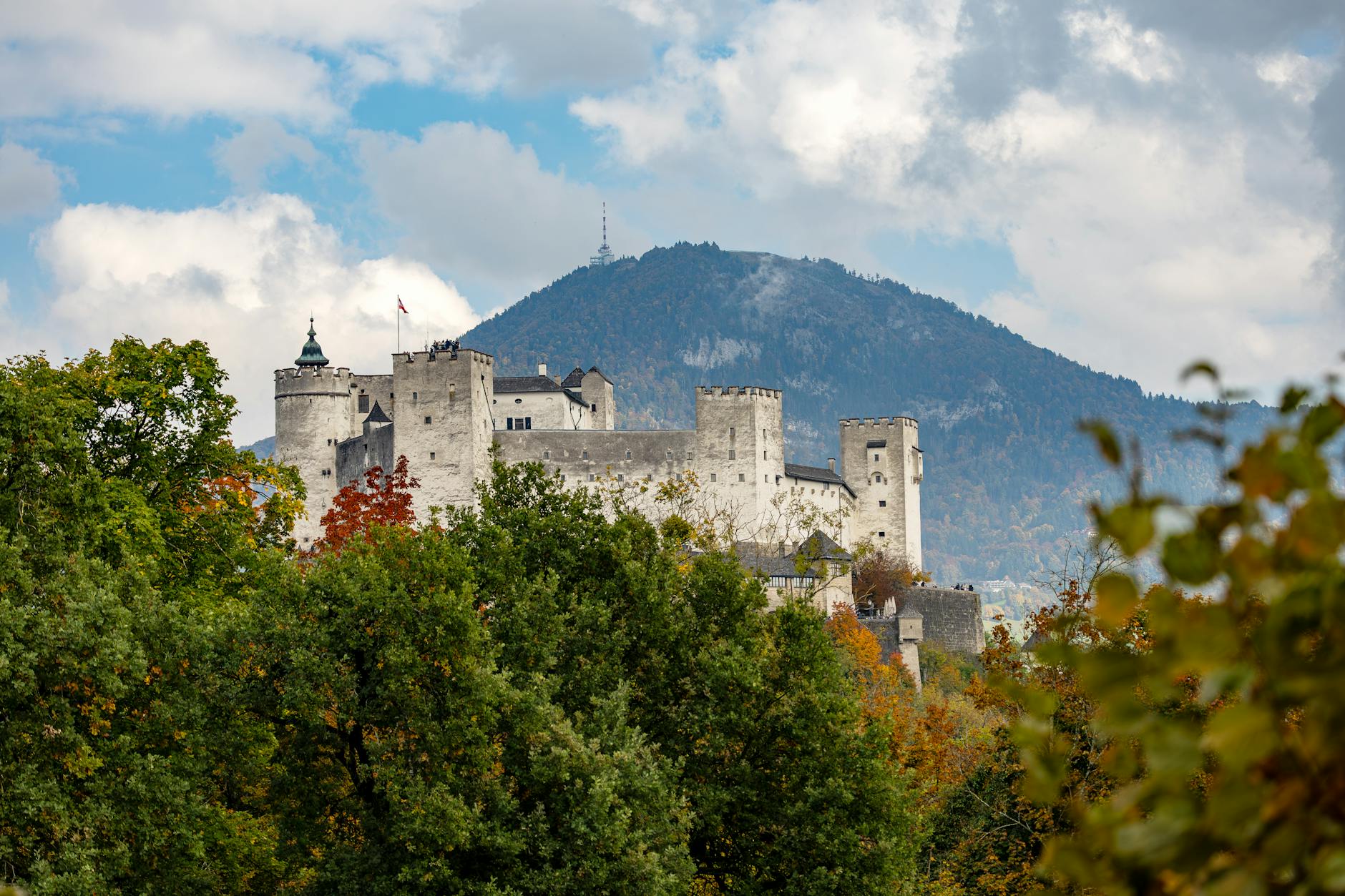 Detailansicht: Salzburger Nachrichten