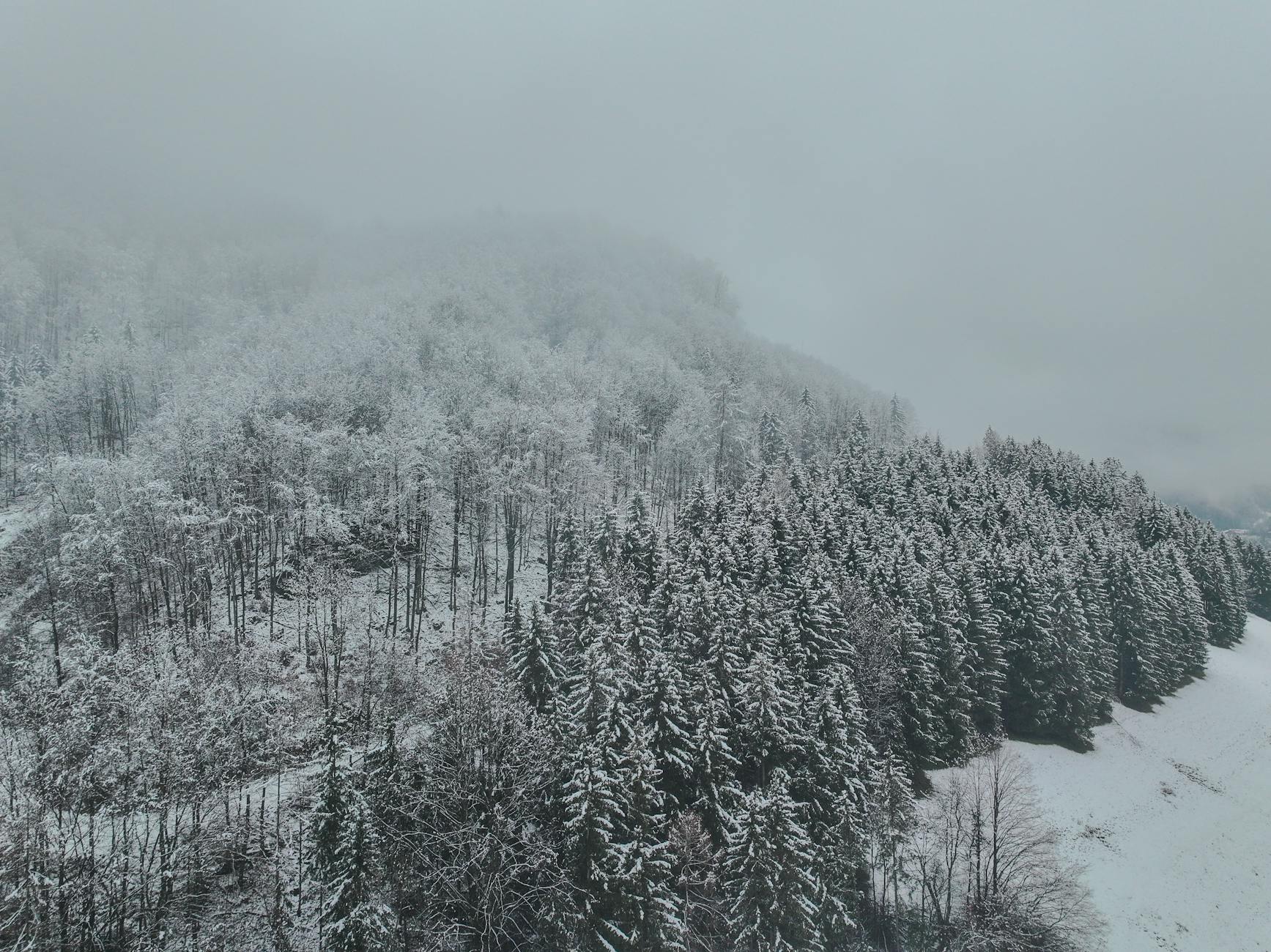 Schneefall Schweiz Symbolbild zum Thema Schneefall Schweiz