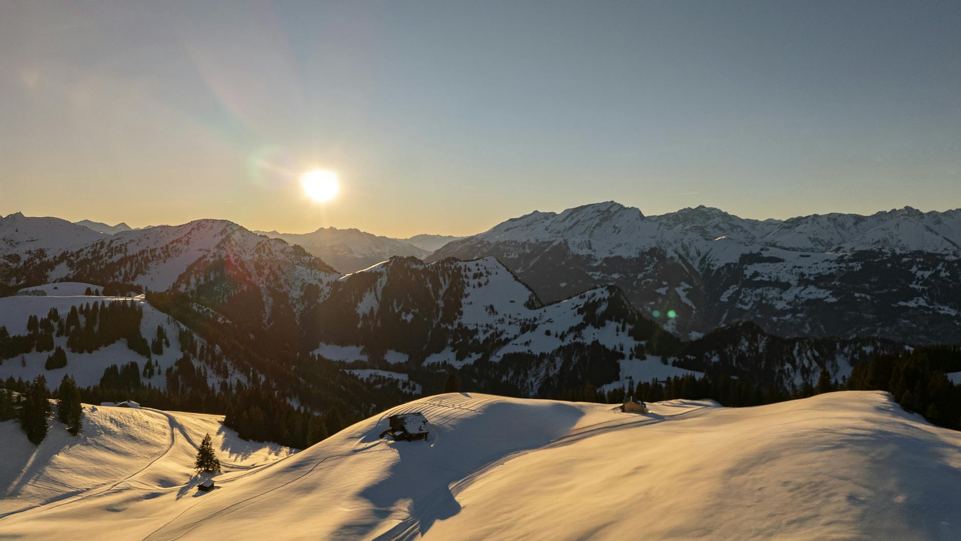 Schneefall Schweiz Detailansicht: Schneefall Schweiz