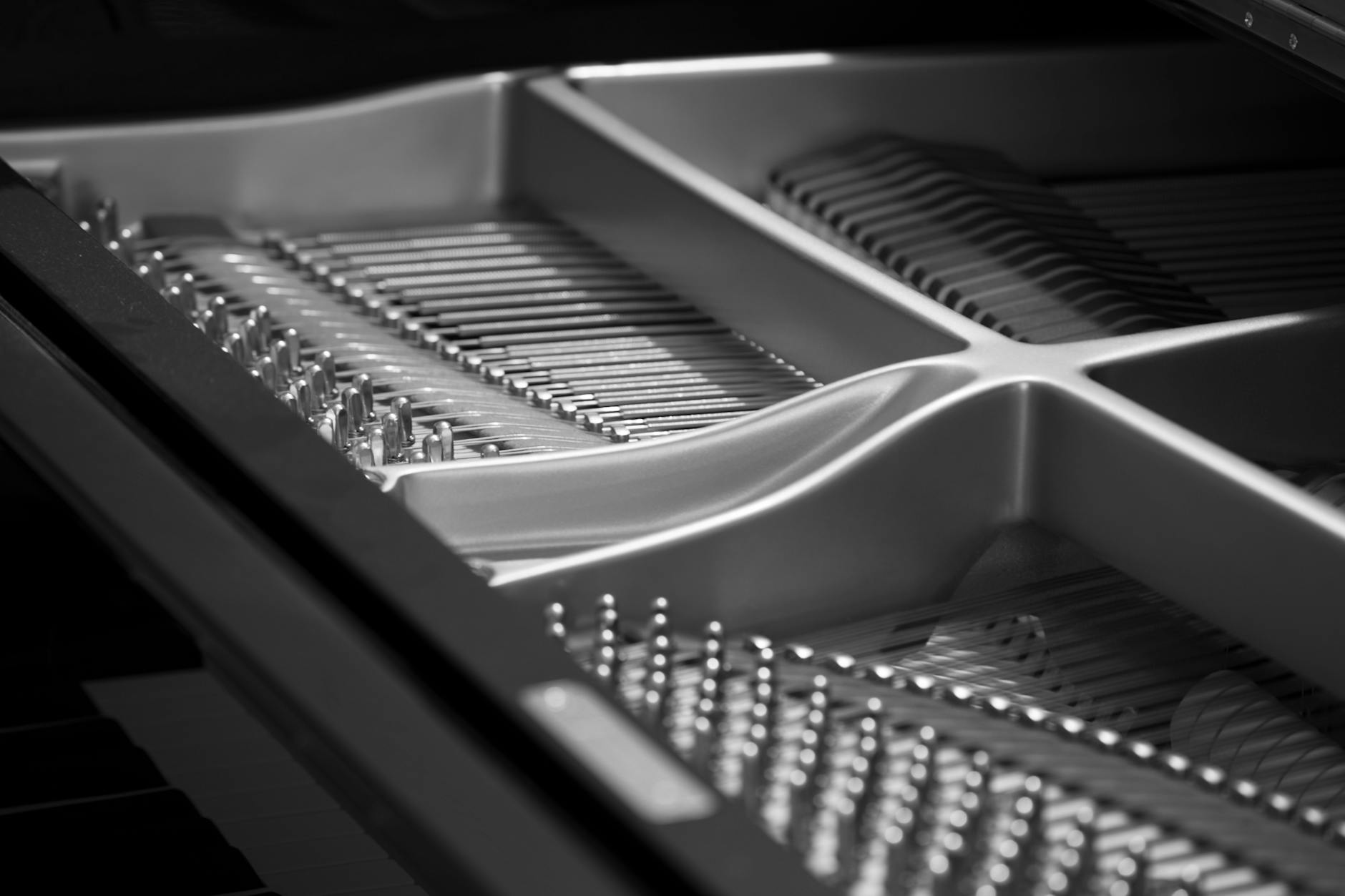 The Piano Tuner Illustration zu The Piano Tuner