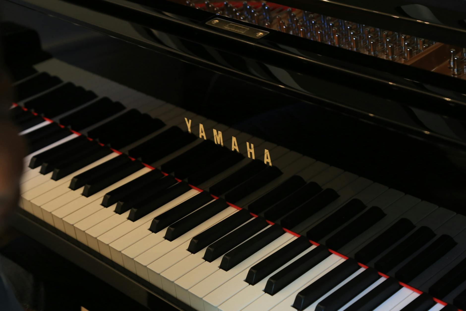 The Piano Tuner Detailansicht: The Piano Tuner