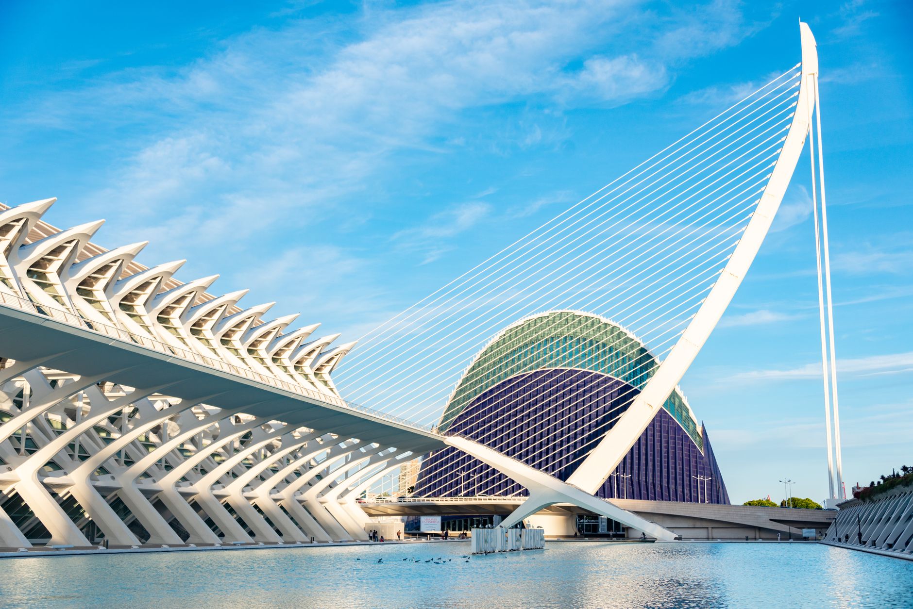 Symbolbild zum Thema Valencia – Barcelona