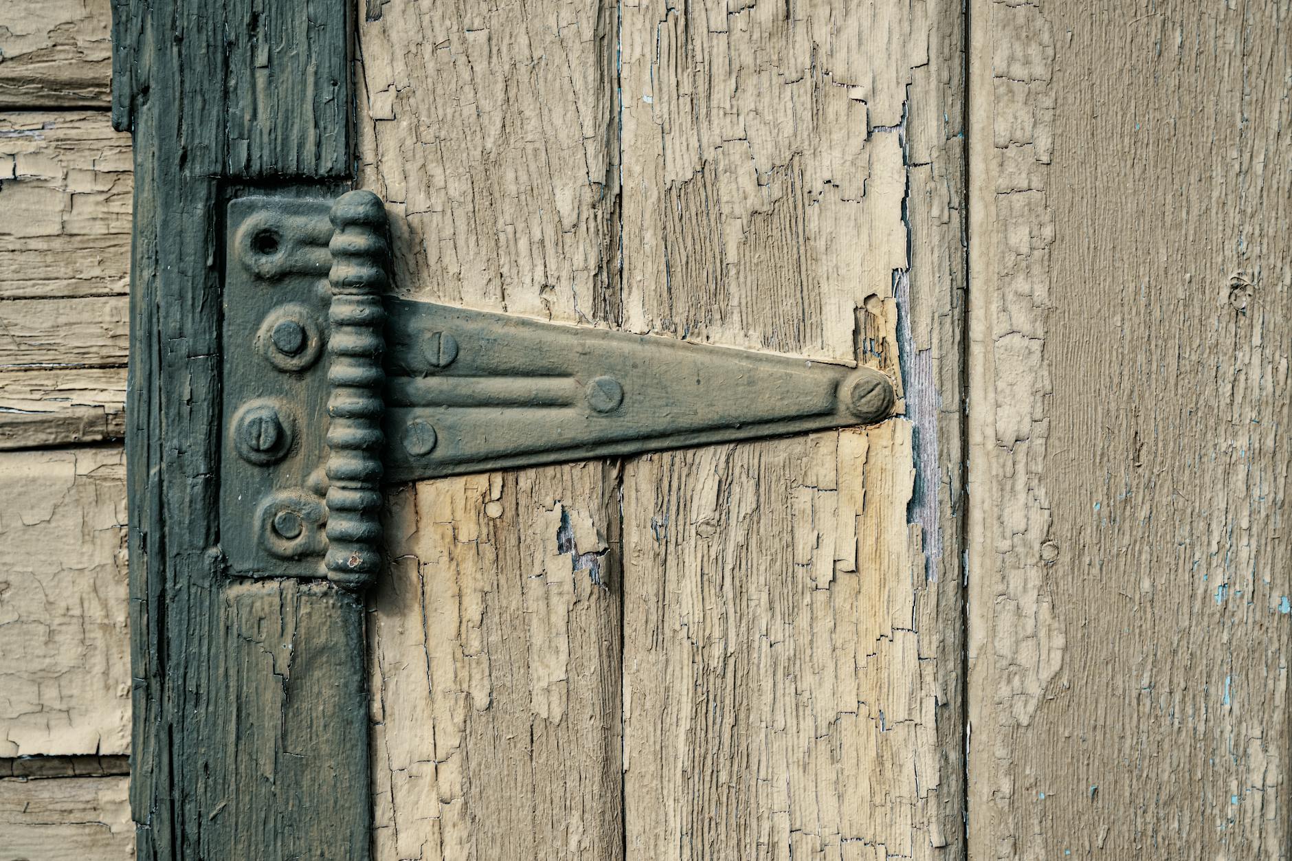 unhinged – Foto: Brett Sayles / Pexels