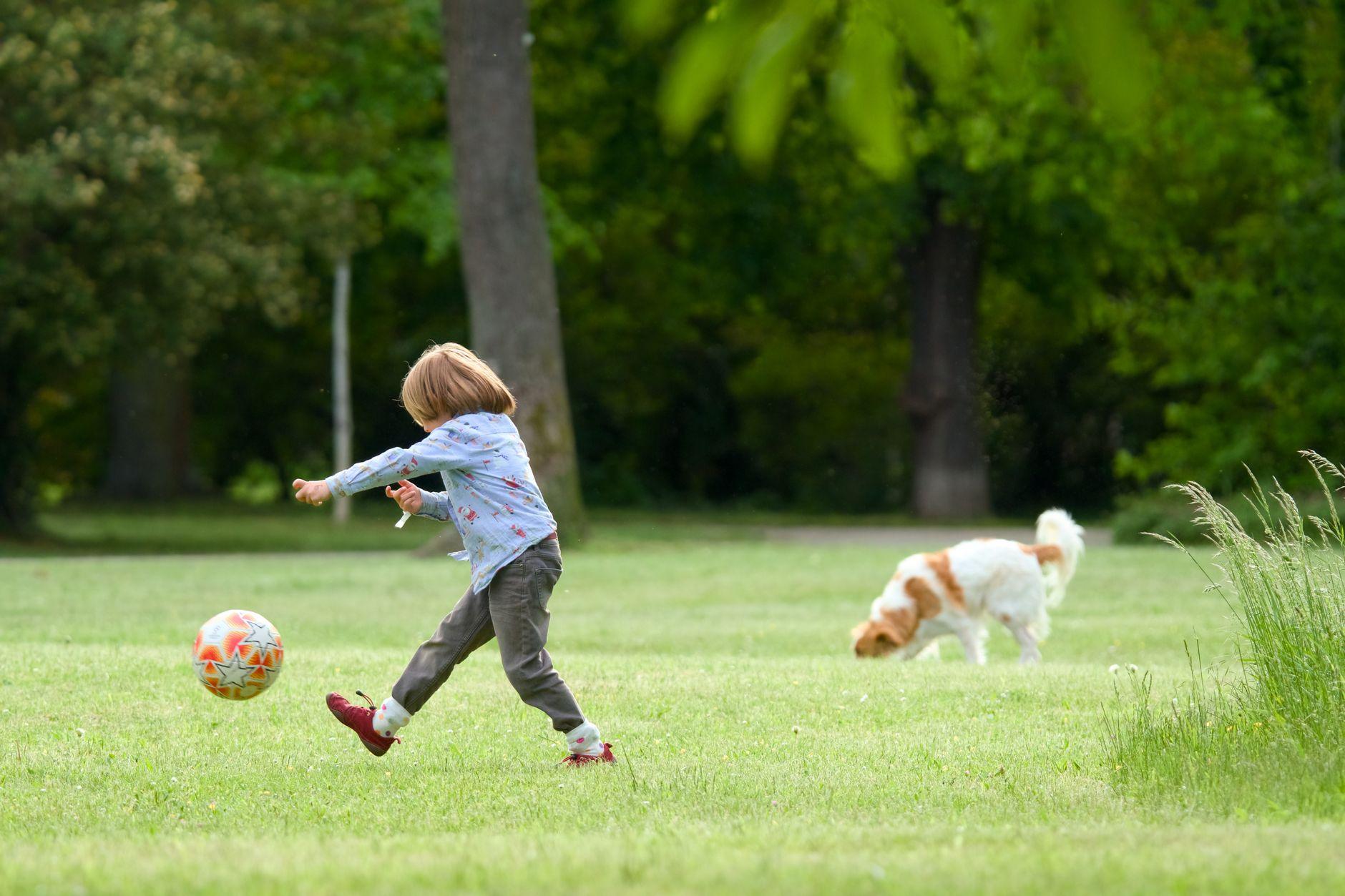 Symbolbild zum Thema Bewegung Kinder