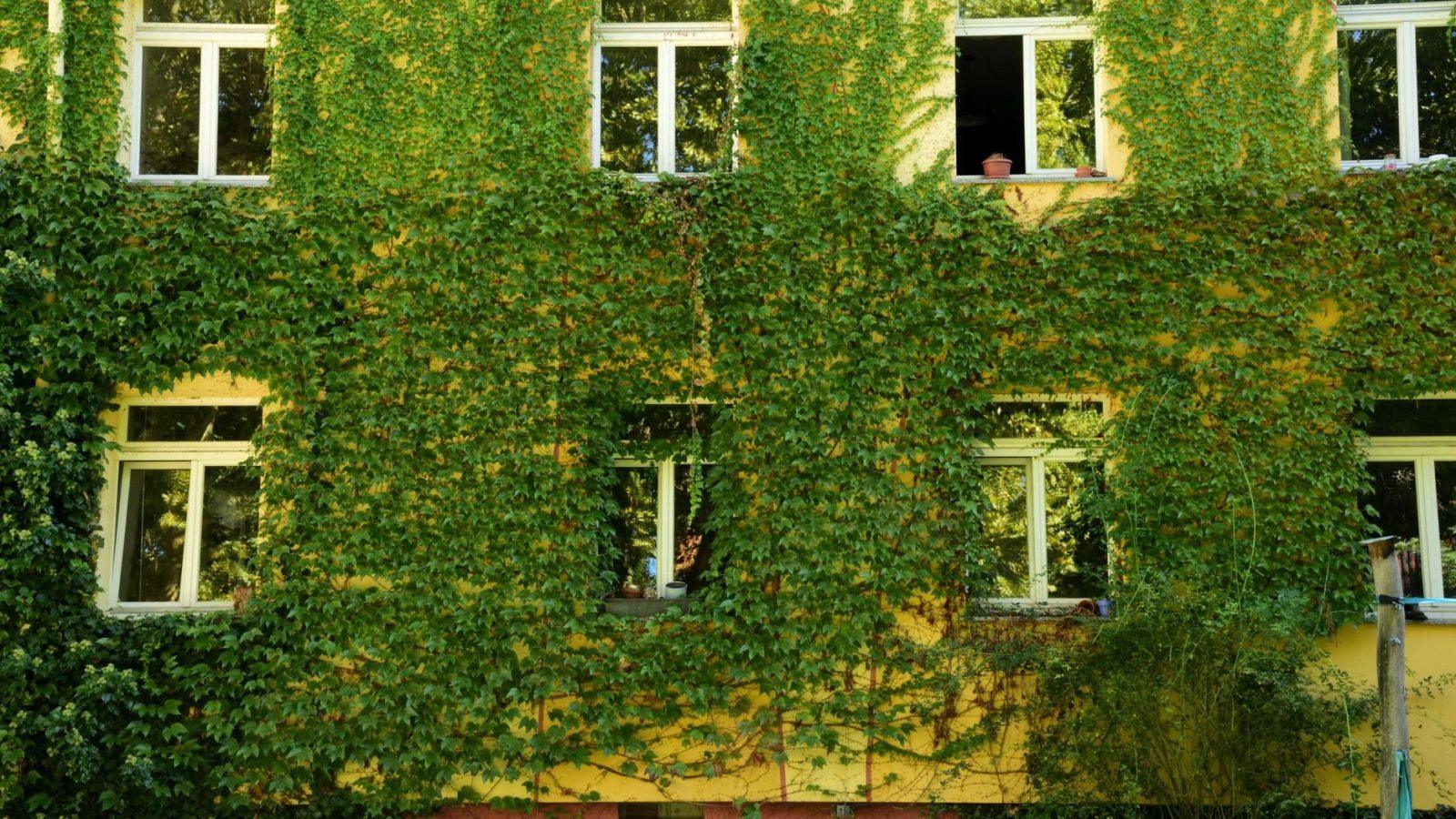 Windows-Ratgeber im Test 2026: Die besten Magazine